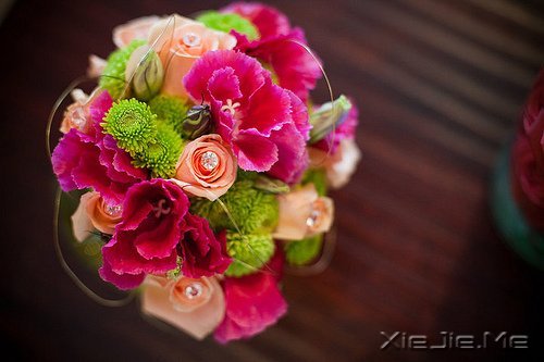 若你懂得,就请珍惜 (3)