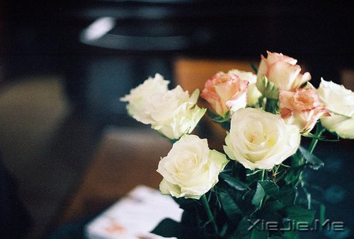 选择最淡的心事,诠释坎坷的人生 (4)