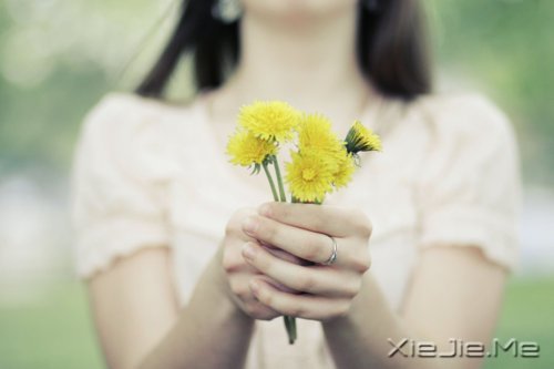 平淡与安静,亦是心灵的另一种力量 (5)