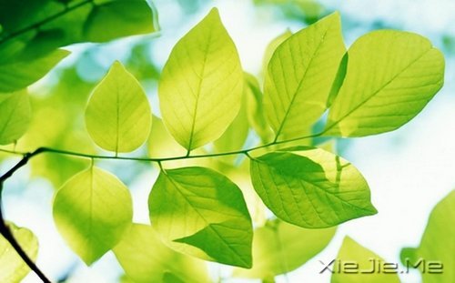 平淡与安静,亦是心灵的另一种力量 (7)