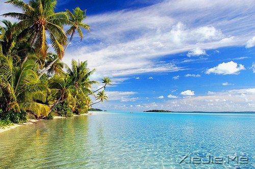 真正的高贵应该是优于过去的自己 (9)