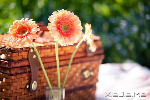 要看清自己,不要看轻自己 (6)