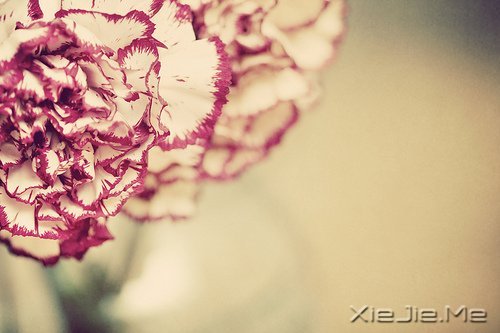 想追求什么,就去努力吧 (9)