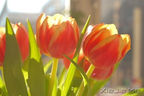 生一分钟气,就失去了60秒的快乐 (6)