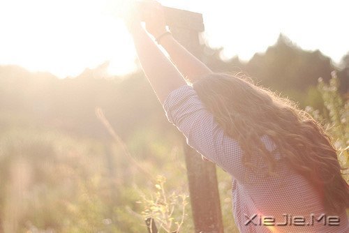 风雨,会考验最暖的陪伴 (7)