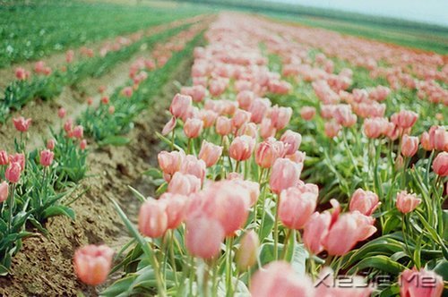 期待一个温柔的距离,保鲜所有美好的记忆 (2)