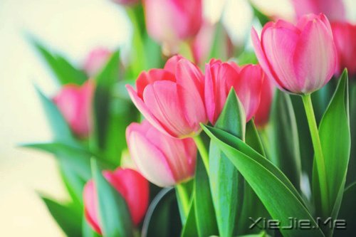 我不完美,但我是完整的自己 (2)