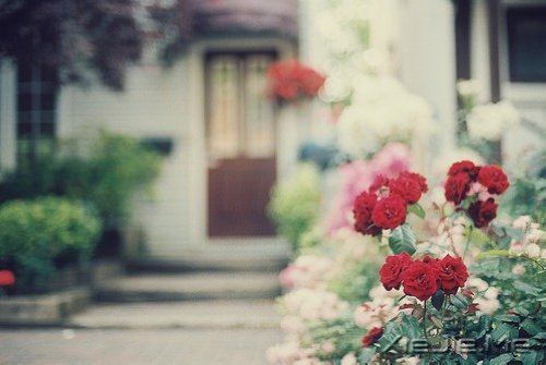 晚安心语:用微笑来面对一切小事 (5)