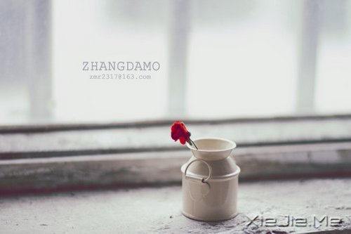 晚安心语:简单做自己,总有一扇门为梦想而开 (10)