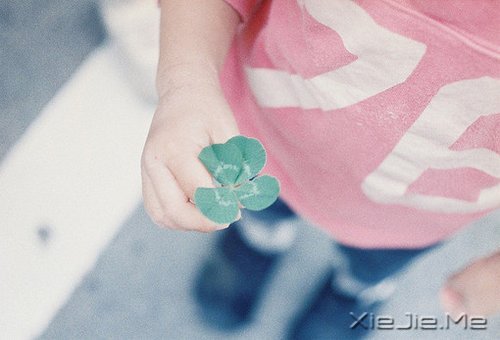 晚安心语:生命必须有裂缝,阳光才能照进来 (4)