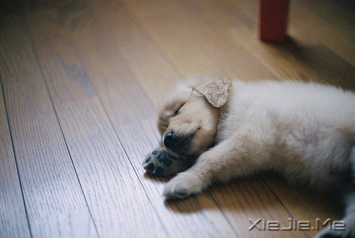 早安心语:不忘初心,方得始终 (6)