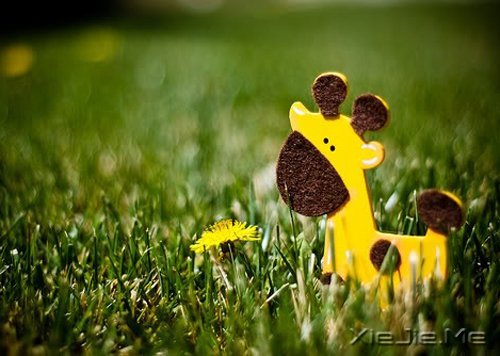 晚安心语:做自己生命的主角,而不是别人生命中的看客 (6)