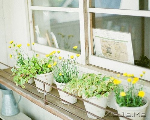 晚安心语:选择最淡的心事,诠释坎坷的人生 (8)