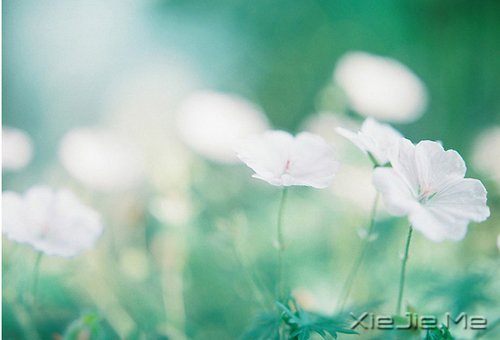 如果时间可以倒退,一切也就不再珍贵 (6)