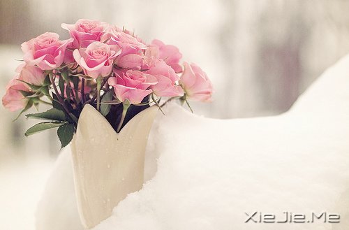 这山长水远的道路,终究是要自己走下去 (1)