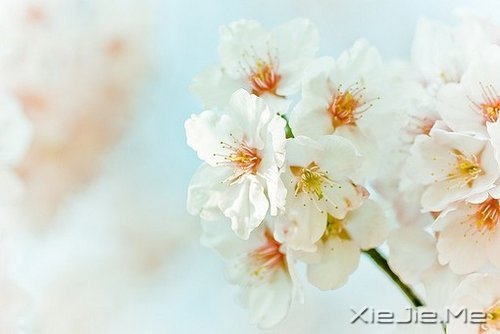 若不是终点,请微笑一直向前 (2)