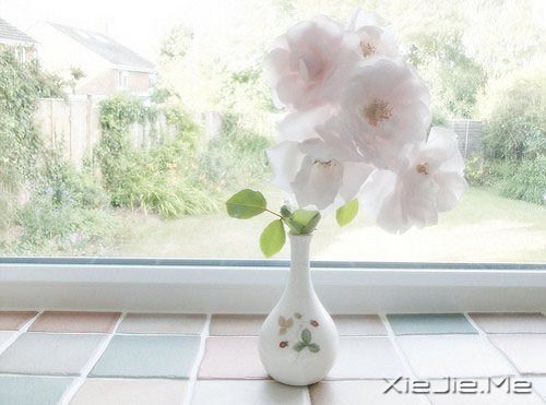 适当的放弃,是人生优雅的转身 (3)