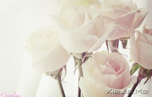 适当的放弃,是人生优雅的转身 (8)