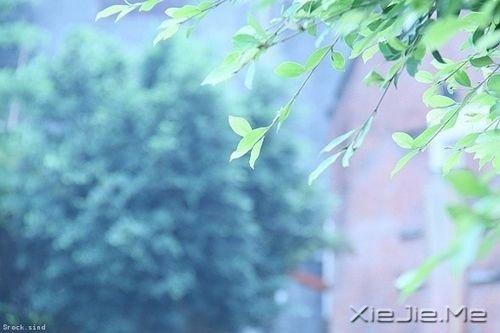 晚安心语:我看起来没心没肺,但其实比谁都真心真意 (10)