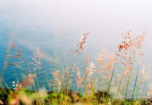 晚安心语:一个人时,善待自己;两个人时,善待对方 (9)