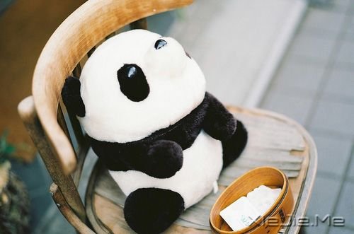 早安心语:用你的脚步,把世界走成爱的风景 (5)