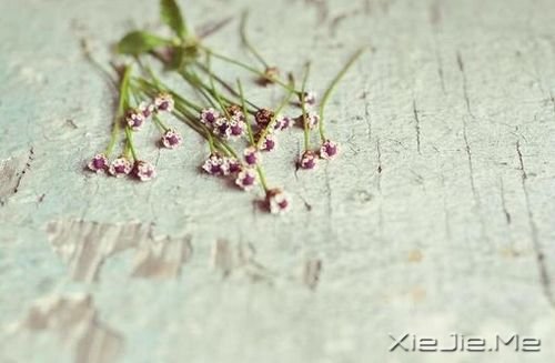 早安心语:情绪可以控制,但眼泪不会撒谎 (3)