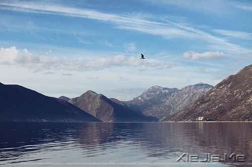 早安心语:人生有多残酷,你就该有多坚强 (4)
