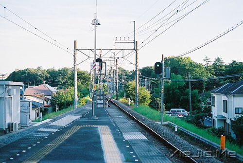 早安心语:昨天的太阳,晒不干今天的衣裳 (10)