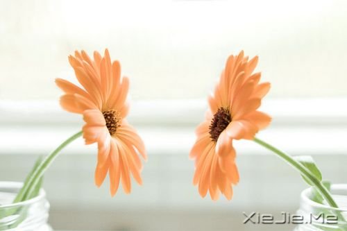 早安心语:你生活在别人的眼神里,就迷失在自己的心路上 (1)