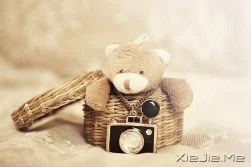 早安心语:坚持住你的坚持,成功就在拐弯处 (2)