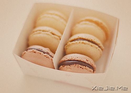 晚安心语:想要的没有那么多,生活便会简单得很多 (8)