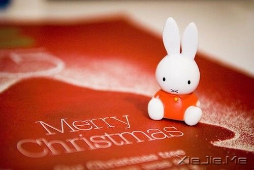 簲ҶԽԽòʱǻԽԽİ (7)