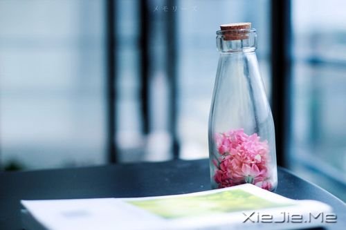 晚安心语:很多事情,自己知道就好 (10)