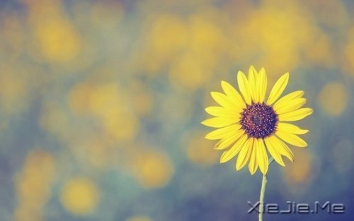 7个有效改善人际关系的习惯