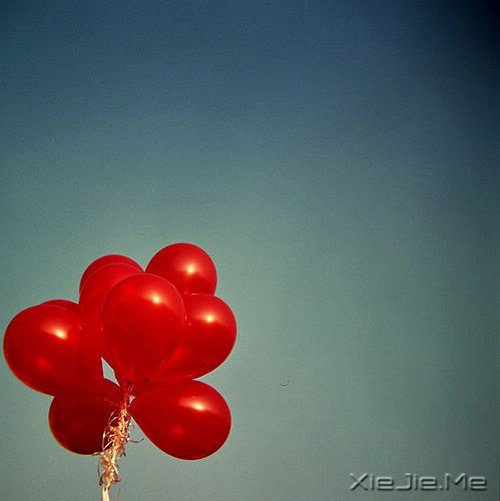 文字:如果有来生,要做一棵树 (7)