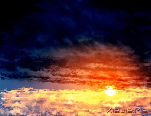 文字:如果有来生,要做一棵树 (8)