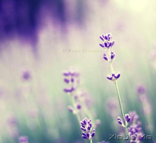 身后其实也写着前方的路